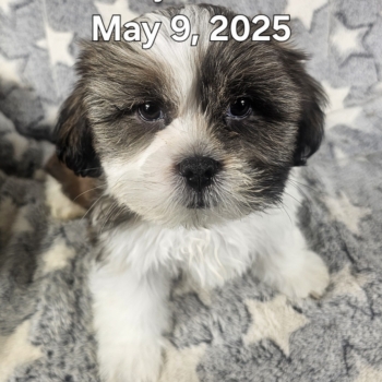 20250509_171200
