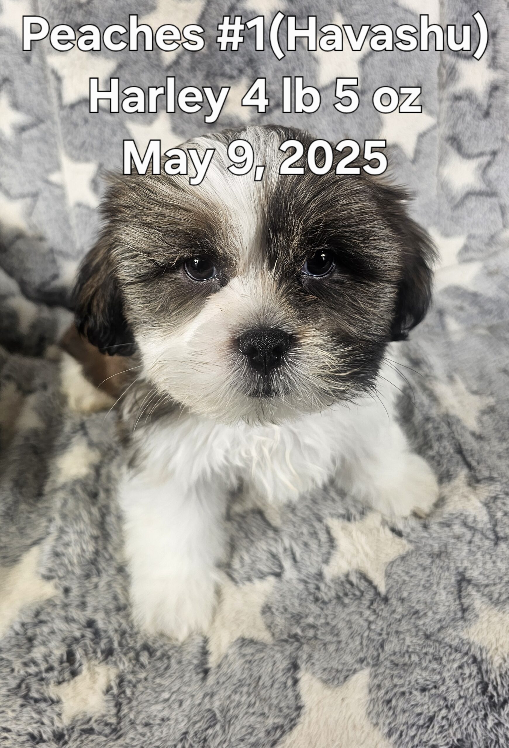 20250509_171200